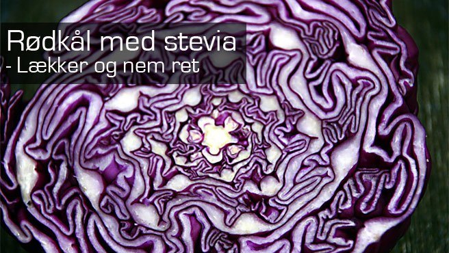 Rødkål med stevia